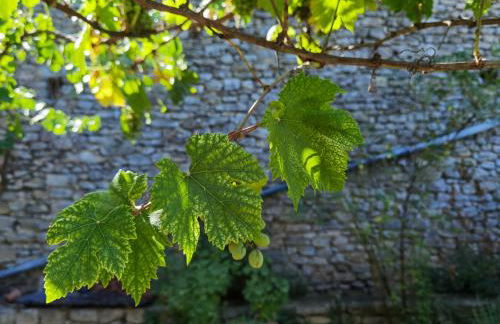 Romantic Provencal house with terrace - Foto 22