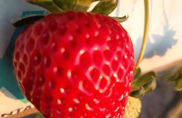 Chalé Colina - Foto 55