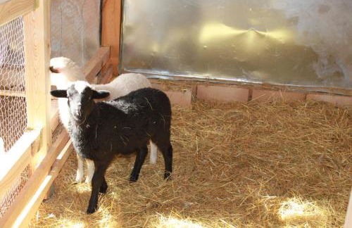 Eco Urbión - Foto 143