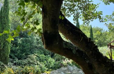 Lovely stay in provence - Foto 10