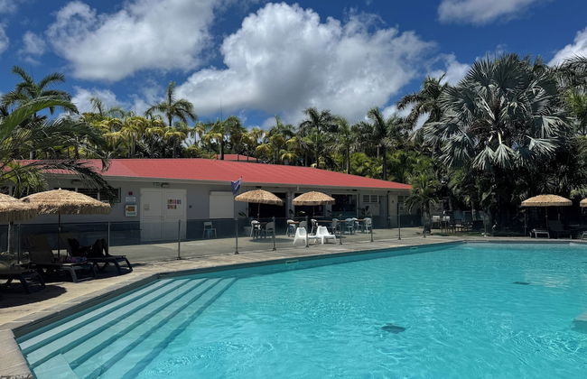 Le Village de la Pointe - Photo 34