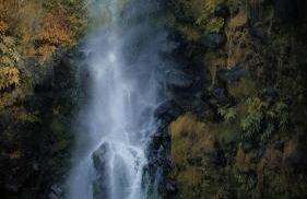 H2Viola & Spa - Photo 32