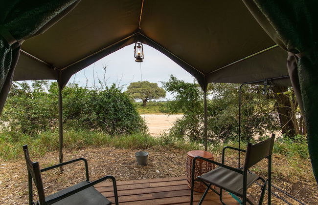 Kruger Untamed - Tshokwane River Camp - Photo 13