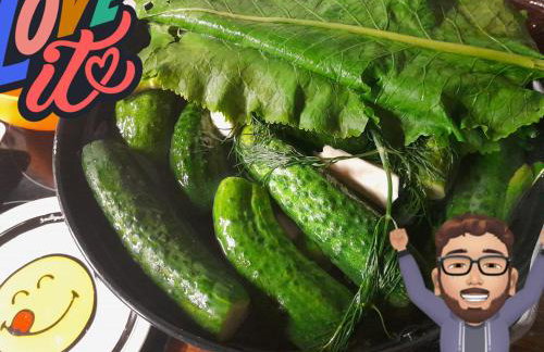 Uroczysko Skomackie - Foto 62