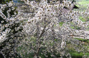 Breckenbreck monolocale CIN IT7001C2P4NVWOPA - Foto 36