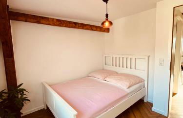 Jugendstil-Altbauwohnung mit Dachterrasse direkt an der Karlsaue - Foto 25