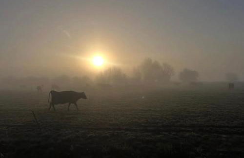 Lower Godney Little House - Foto 6