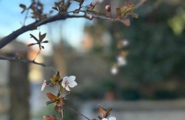 Skyrian Living - Foto 26