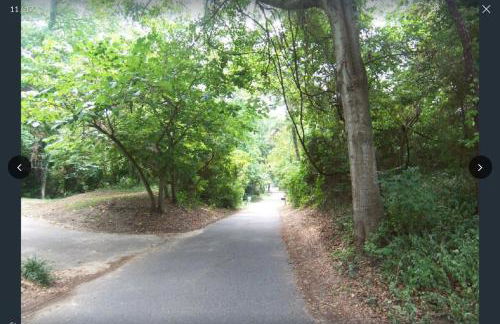 Soundside, canalfront Outer Banks house near ocean - Foto 37