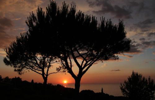 Belvedere Residenza Mediterranea - Foto 9