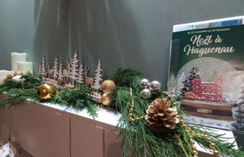 La Cabane de Shakespeare mini-maison à Haguenau - Photo 15