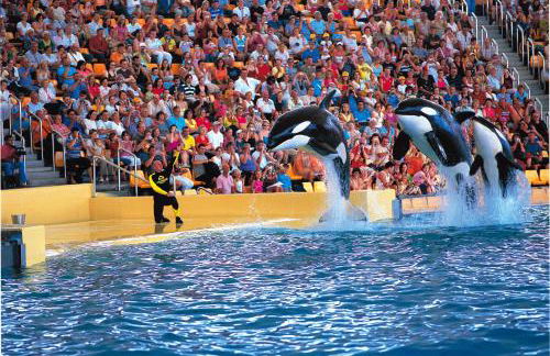 HomeForGuest Design Attic Apartment FREE Parking - Foto 36