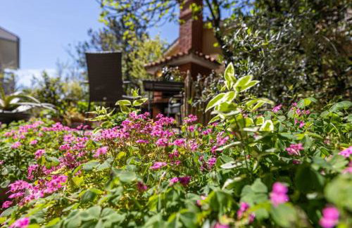 Apartman Gržetić - Foto 27