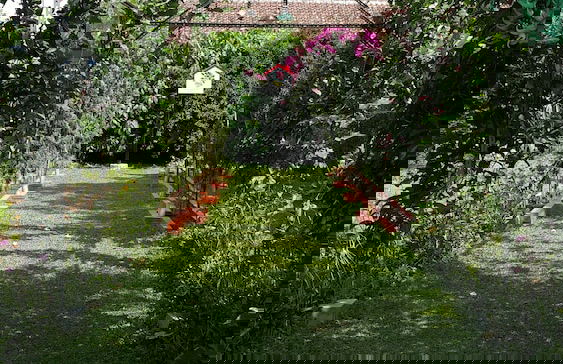 Vila Bunga Merah Gelatik - Photo 30