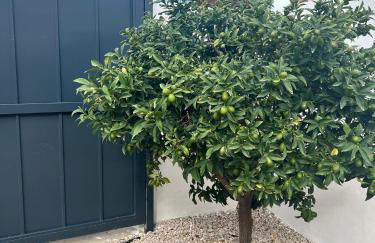 Lalola villas - Apartamento privado Denia - Photo 16