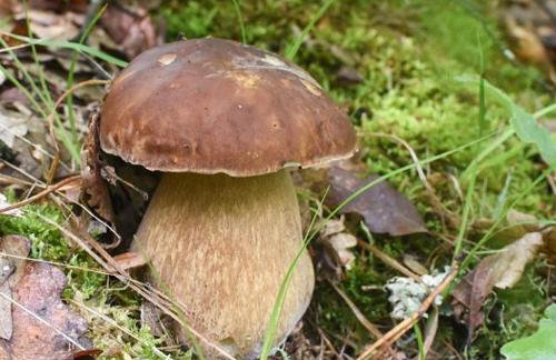 Bieszczadzki Horyzont Apartamenty - Photo 52