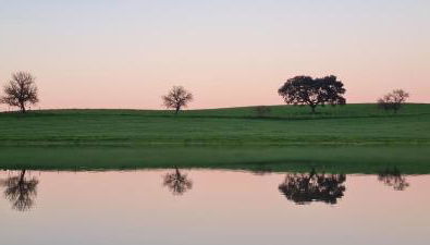Monte do Arneiro - Foto 4