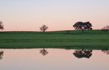 Monte do Arneiro - Foto 4