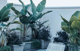 The Rabbit Hole - Photo 68