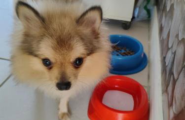 THE FOUNTAINS 110 - Apartamento em lindo condomínio pé na areia da Praia das Fontes em Beberibe - CE - Photo 44