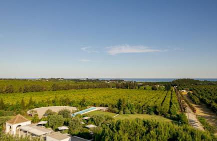 Casas da Quinta de Cima - Foto 61