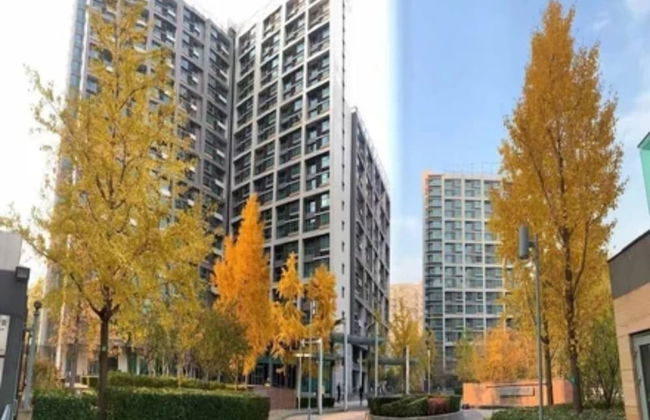 Kumtai-Seasons Park Apart'Hotel - Foto 32