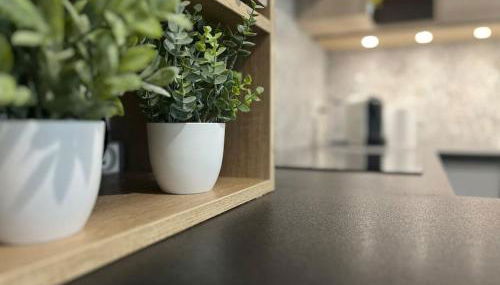 Appartement T2 vue panoramique sur Annecy - Foto 2