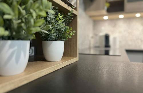 Appartement T2 vue panoramique sur Annecy - Foto 2