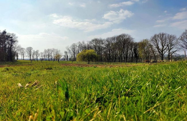 Scherpenheuvel Garden Home - Photo 37