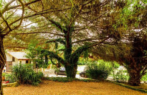 Quinta O Refúgio - Photo 50