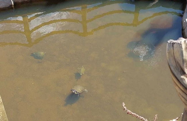 Pousada Temática Estrada Real - Foto 7