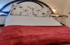 Morus Guesthouse - Foto 4