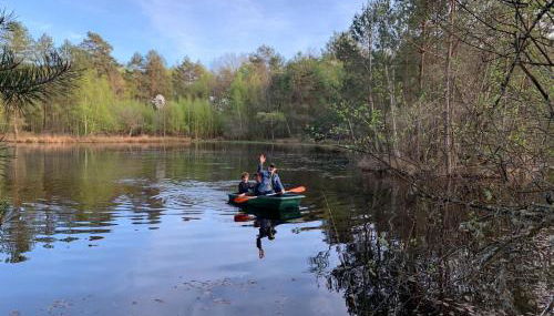 Domaine des Quatre Vents - Foto 4, Garden