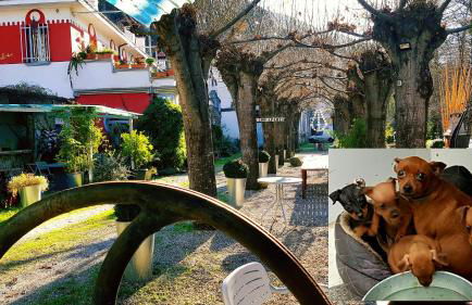 zentral club apartamento protón-jacuzzi - Foto 33