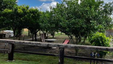 Graziosa stanza campidanese Su terzu - Foto 4, Garden