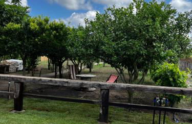 Graziosa stanza campidanese Su terzu - Foto 4