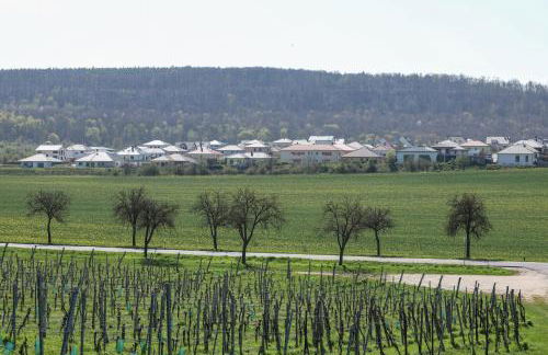 WEINQUARTIER Bad Kösen 65 qm Küche Parkplatz Terrasse Weinbergsblick - Foto 38