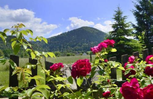 AGROTURYSTYKA POD ŚNIEŻNĄ - Foto 37