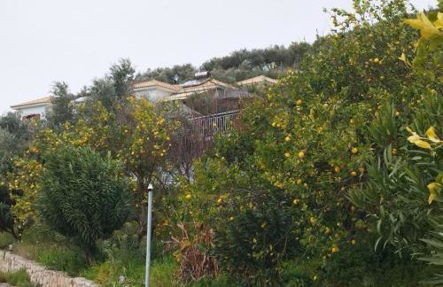 Mary's Panorama Houses - Foto 17