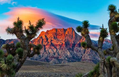 New! The Casita Sol, Fireplace, Backyard, Quiet - Foto 34