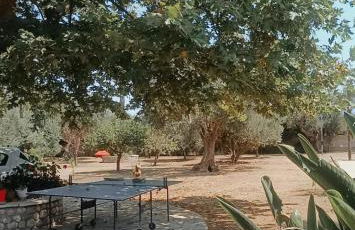 PanThea Stone Villa - Photo 50