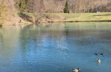 Beau studio plus, tout confort, classé 3 étoiles par le comité départemental du tourisme de la Haute Garonne - Foto 8