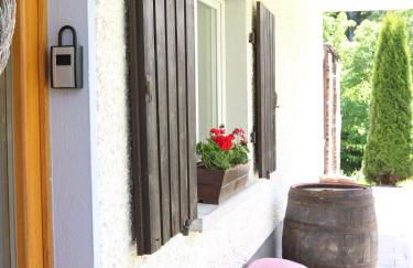 Falkaunest cozy Apartment mit Sauna am Feldberg - Foto 77