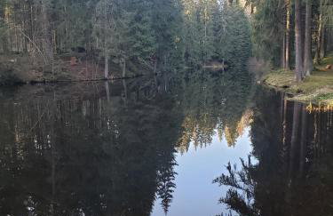 Ferienwohnung Rose - Foto 12