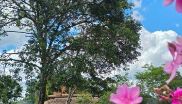 Casa das Hortênsias - Foto 3