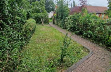 Little Lucy - Foto 7