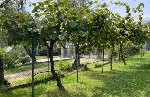 Villa dei Limoni - Foto 29