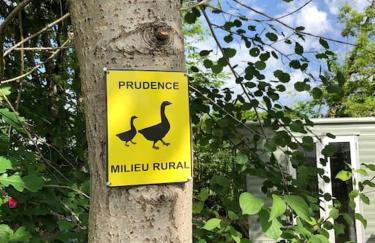 Un bel endroit dans la nature - Photo 25