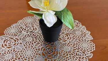 Apartamento Beatriz - Foto 4