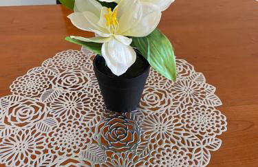 Apartamento Beatriz - Foto 4